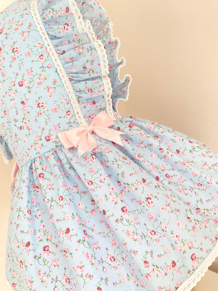 Vintage Blue Drop Waist Dress