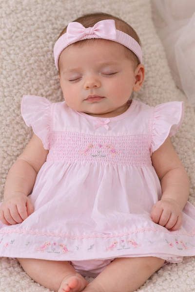 Baby Girl Pink Smocked Dress Set with Embroidered Detail & Matching Headband