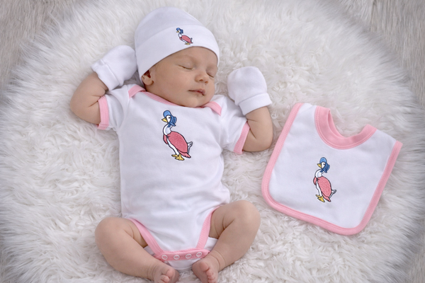 Beatrix potter Jemima Puddleduck Set