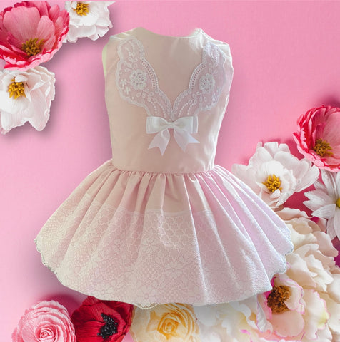Baby Girls Drop Waist Lace Dress - Pink