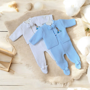 Peter rabbit coming home outfit gillytots 