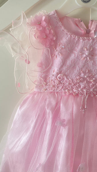 Elegant Baby Girl Pink Lace & Tulle Party Dress with Floral Embellishments